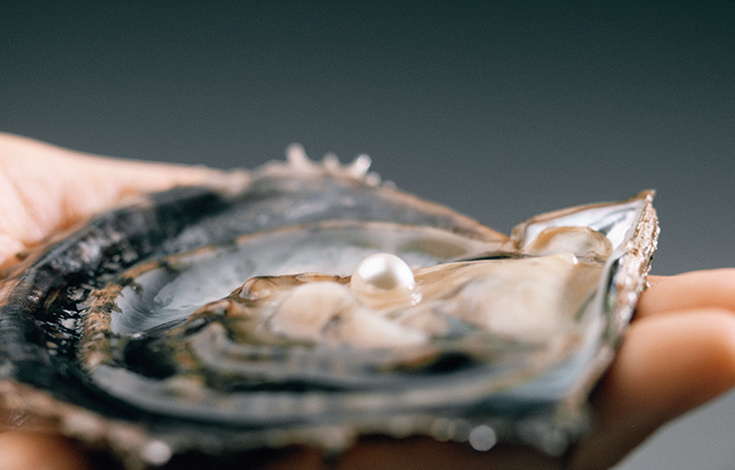 日本晚安粉高光,日本贵妇晚安粉