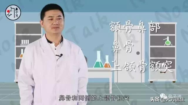 详细看一下鼻子的结构,从鼻孔形状能看出鼻子高低吗