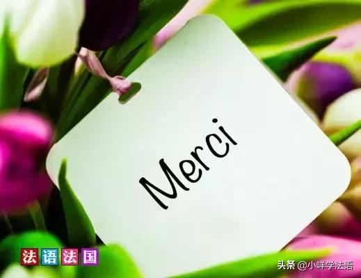 法语入门100句及发音,法语熟人问候常用语