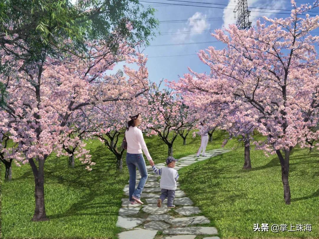 珠海春节游玩的地方有哪些,春节珠海旅游最佳攻略