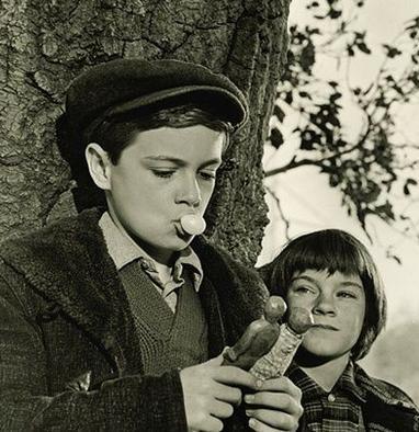 杀死一只知更鸟打破偏见找到自己,杀死一只知更鸟不要用有色的偏见