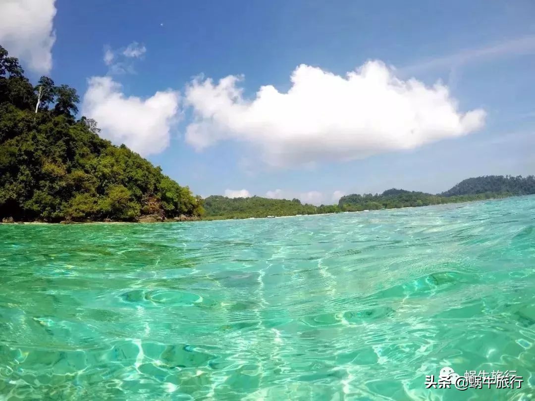 巨蜥像退休大爷休闲漫步；满海的活珊瑚、海葵…国家公园开岛啦