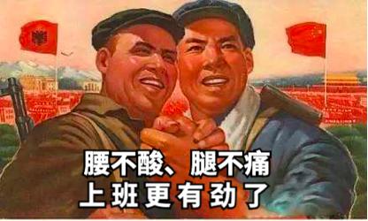 祺鑫养猫实录,穷人养猫实录