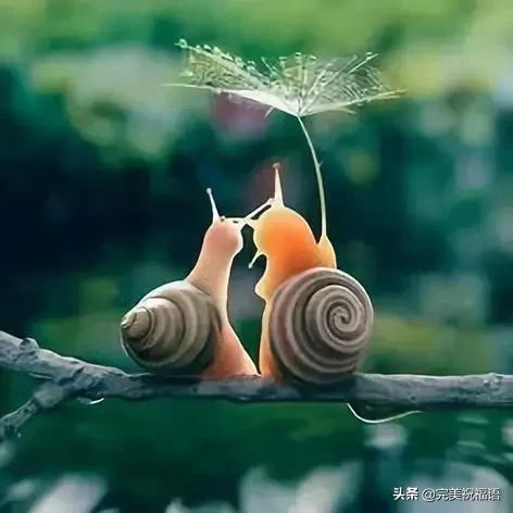 今天2.1，2月第1天，谁编的，太好笑了，给群里乐一乐~