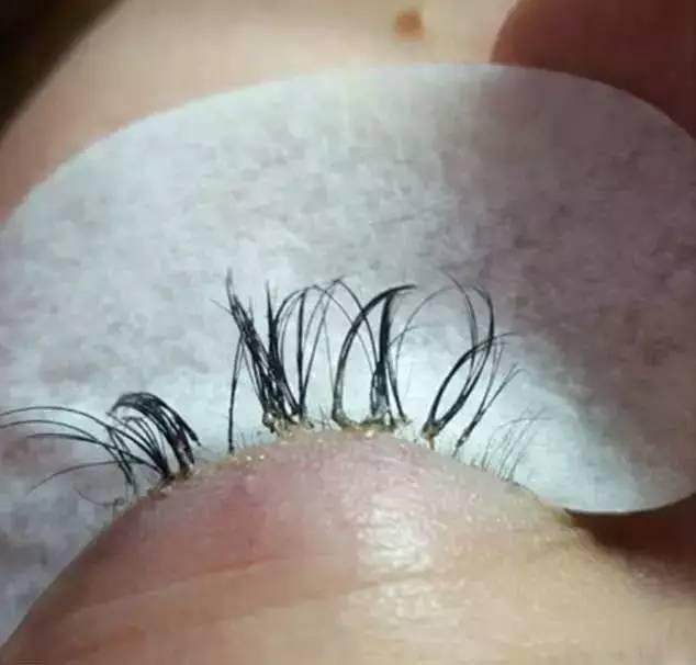 薇娅睫毛膏防水纤长卷翘加密加长,薇娅2019业绩