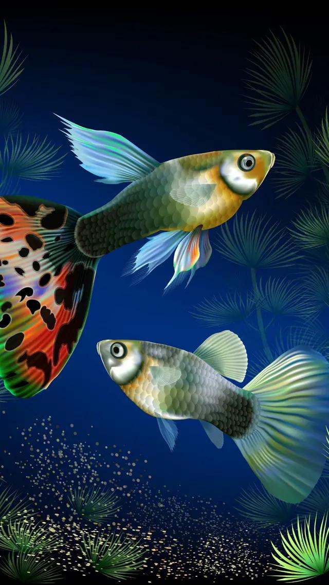 高清海底世界壁纸原生态动态,高清海底世界壁纸4k全屏无水印