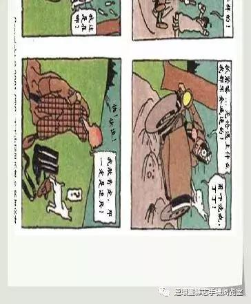 丁丁和丁丁历险记论文,丁丁历险记丁丁的服装