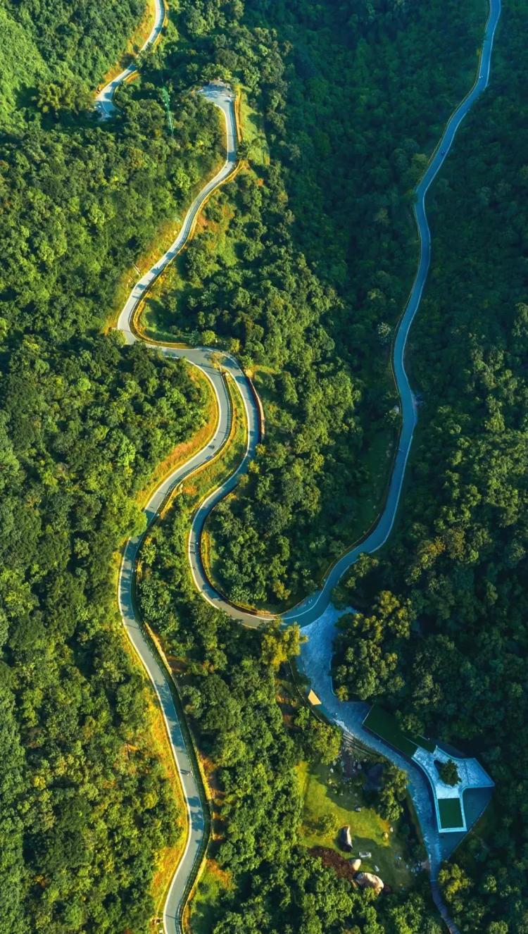 不离深,深圳高颜值绿道推荐一日游正好