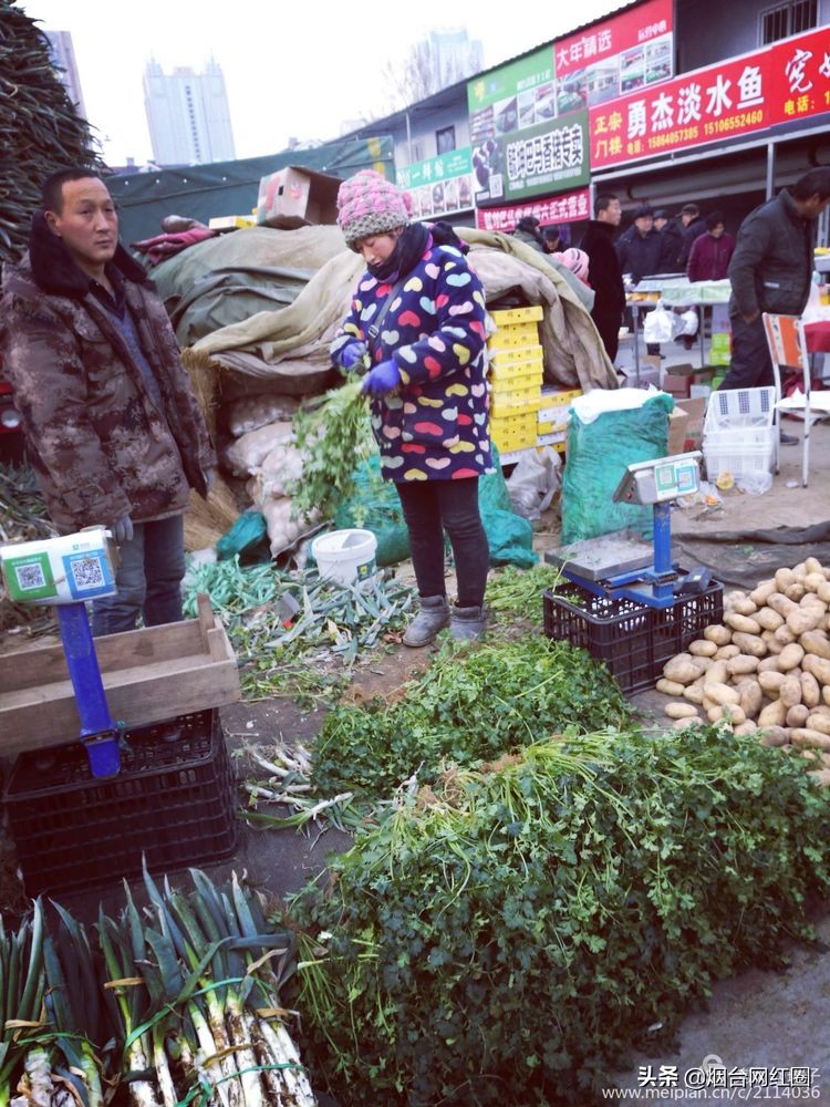 烟台莱阳海鲜早市,烟台老红利市场早市