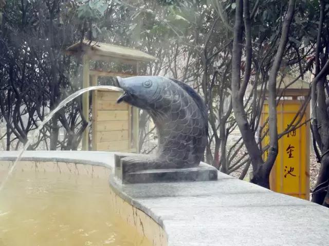 滕州新盈泰温泉,滕州盈泰生态双人温泉