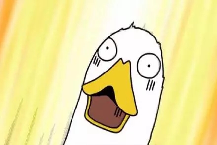 干货关于征信报告最全面的解读,征信报告必备知识点你收藏了吗