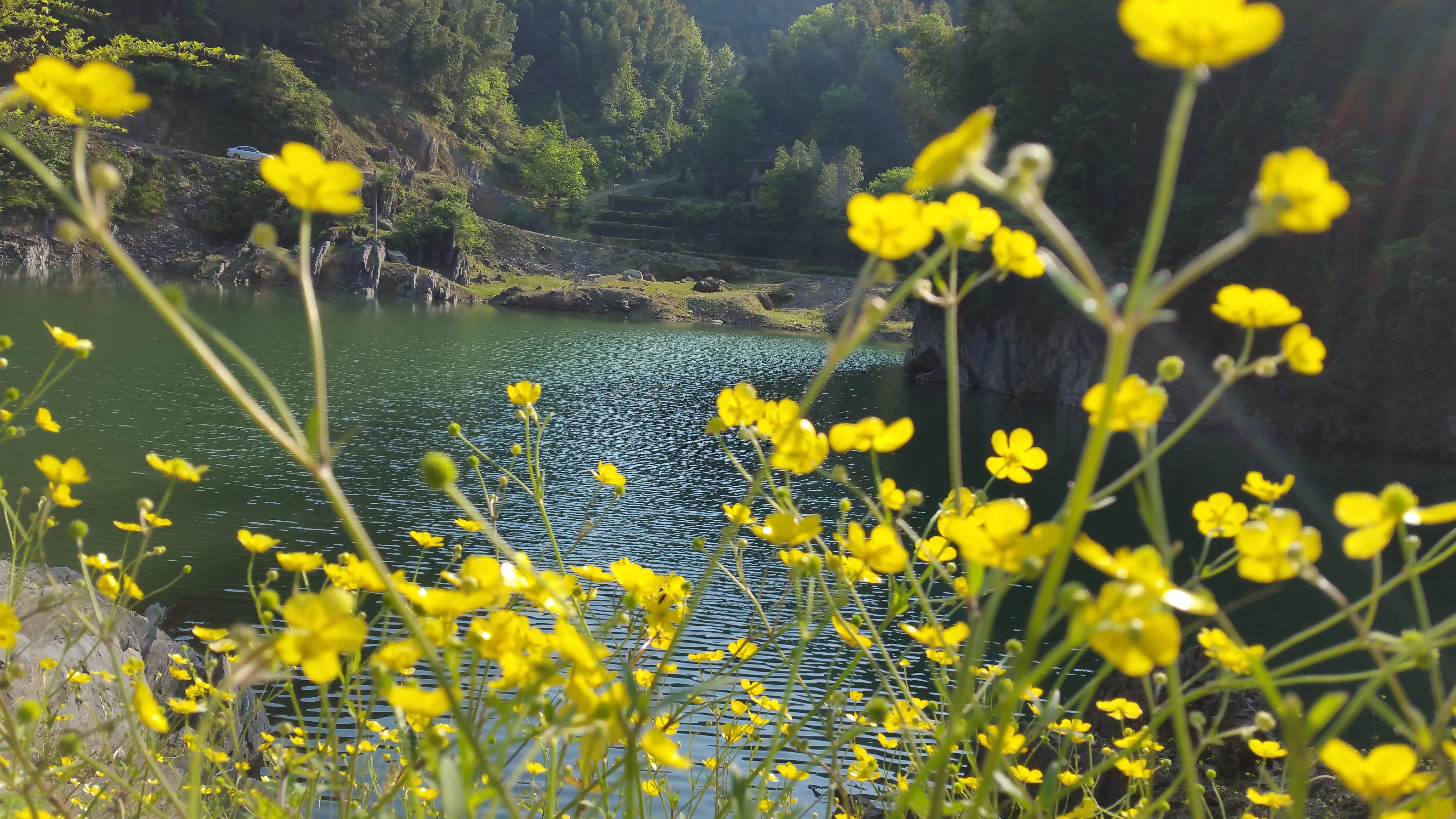 那些年我们用过的三星手机,那些年我用过的三星手机