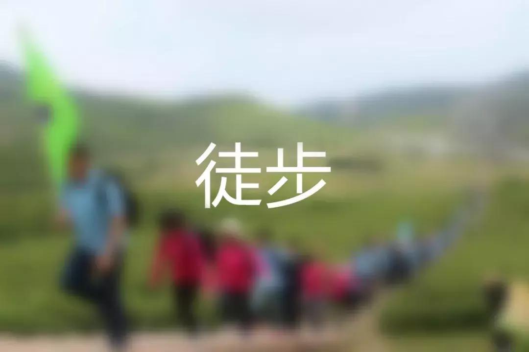 未来之星青少年成长夏令营宝鸡站,东夏未来之星