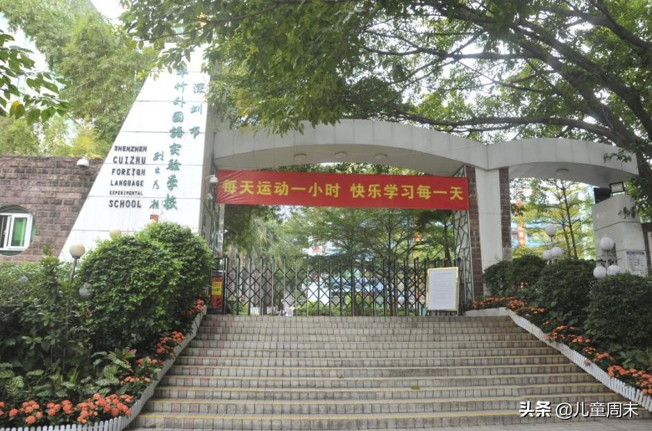深圳深户公立小学哪个学校最好,深圳有哪些好的公办小学学校