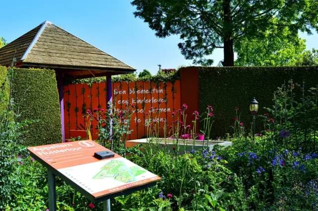 荷兰花海最值得一去的是哪里,荷兰最大花卉公园