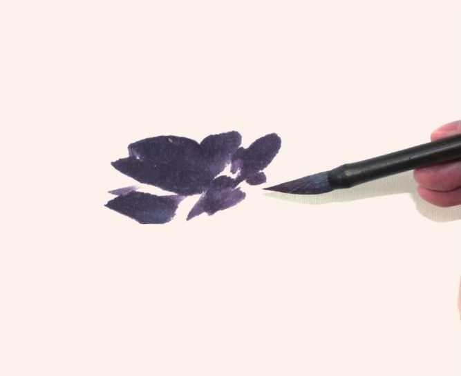 国画牡丹和石头的画法图片,初学国画牡丹花头画法图解