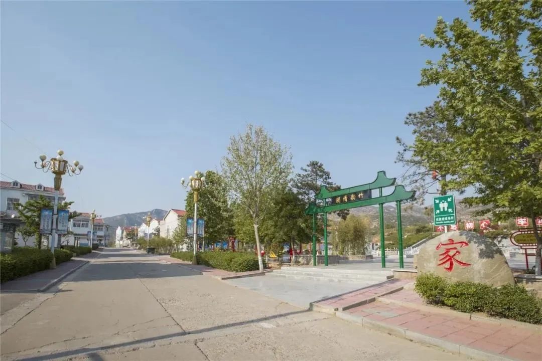 莱芜项目建设,抓项目谋新篇