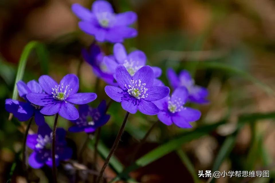 垃圾分类我最时尚优秀作文5篇,大学垃圾分类的作文