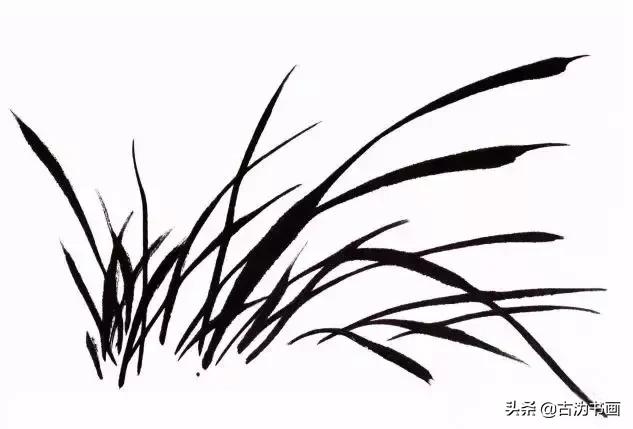 国画兰花技法讲解视频,徐湛国画兰花技法教学