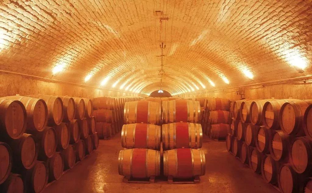 葡萄酒酿造过程需要多长时间,芒康葡萄酒酿造过程