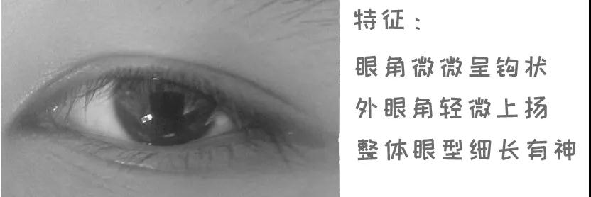 你属于哪种眼型测试特效,你属于什么眼型的