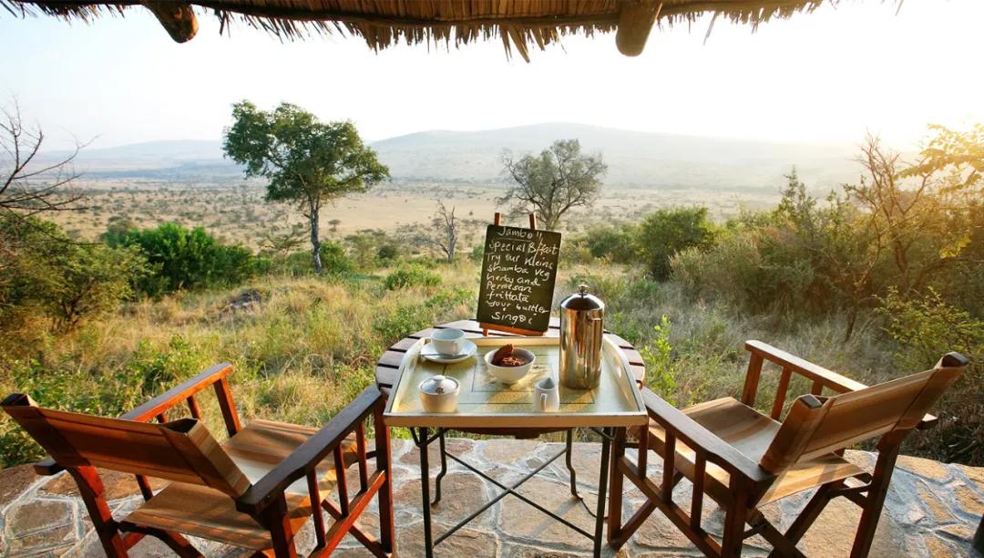 世间稀有的白色长颈鹿母子，在非洲被残忍猎杀，发现时只剩骨骼