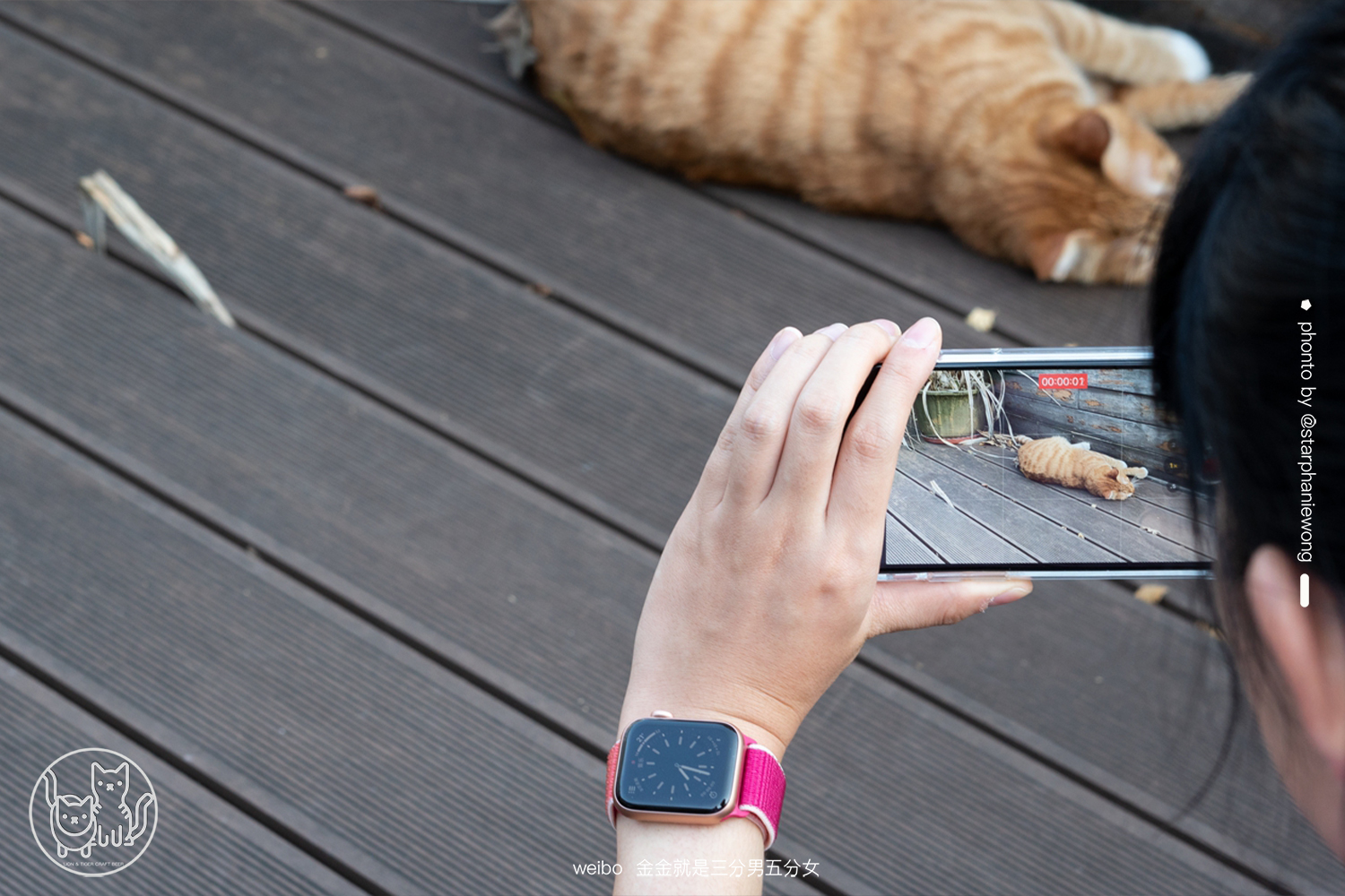 正视生活计划与健康，与Apple三设备的相伴体验报告