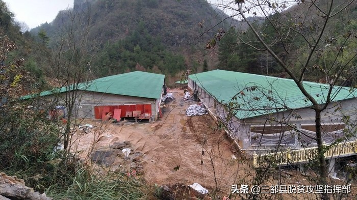 三都有一个敢闯敢拼的“铁娘子”