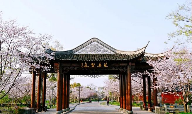 上海春游踏青好去处,上海春季踏青旅游攻略