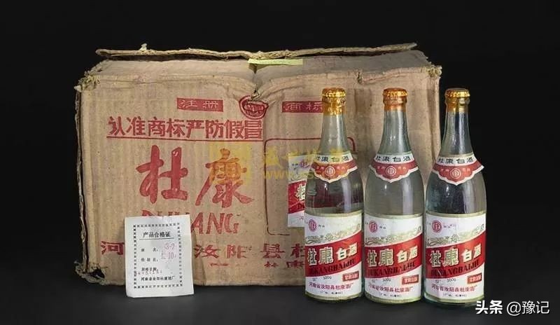 汝阳：当恐龙遇上杜康…...