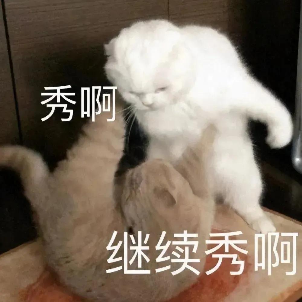 微信聊天表情包,微信聊天表情包怎么删掉