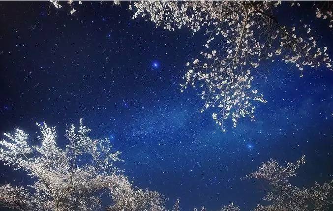 古诗词里最动情的一句,古诗中感情最深的是哪一句