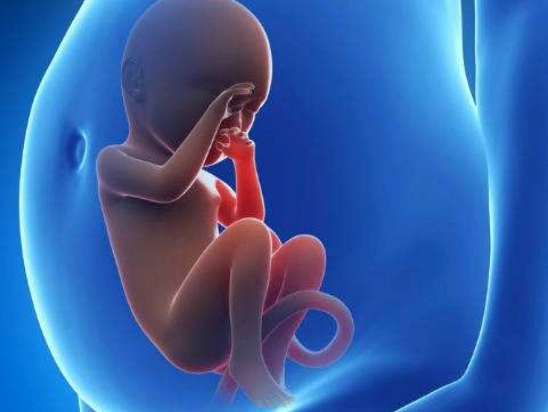 有条件顺产，千万别刨腹产！刨腹产比顺产好？骗人的！