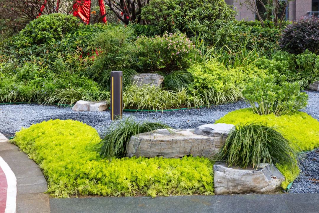 春风十里，人生得意在洋房