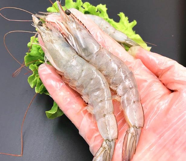 去超市买虾哪种最好,去超市买虾注意什么细节