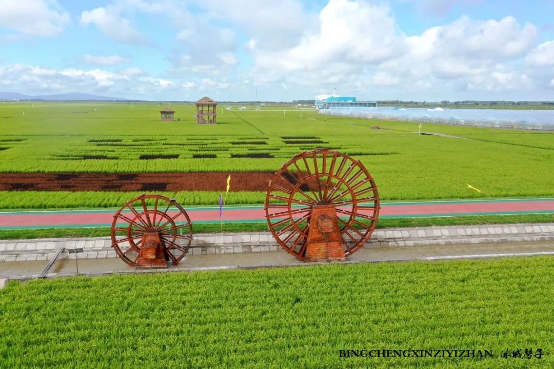 再返富锦，为着那份飘着稻花香的“湿”意约定