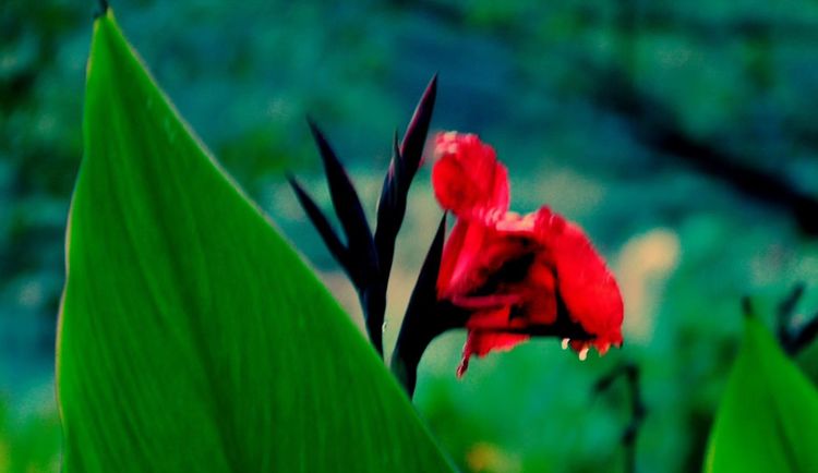 深秋的私语,美文美图经典欣赏