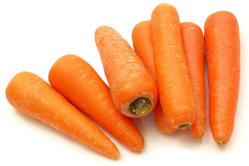 泰迪犬一般吃什么狗粮比较好吃,泰迪犬适合吃什么