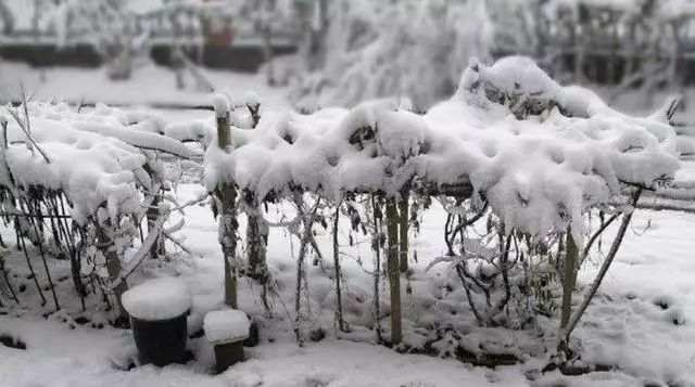 1816年真的没有夏天吗,古代中国没有发生饥荒的地方