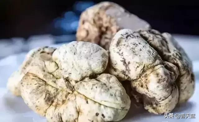 全球最贵的十种商品,世界十大昂贵商品