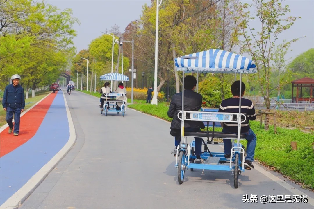 无锡网红打卡地太湖明珠大堤,无锡网红打卡地江尖公园