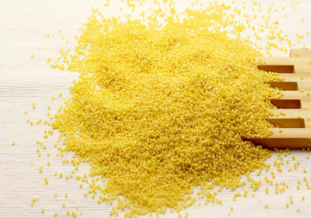 手养小鸽子鸽子拉稀最快治疗方法,信鸽鸽子拉稀怎么办