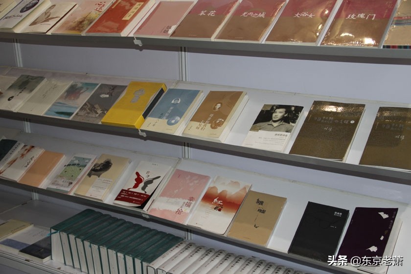 网文界三十大巅峰之作,酣畅淋漓网文