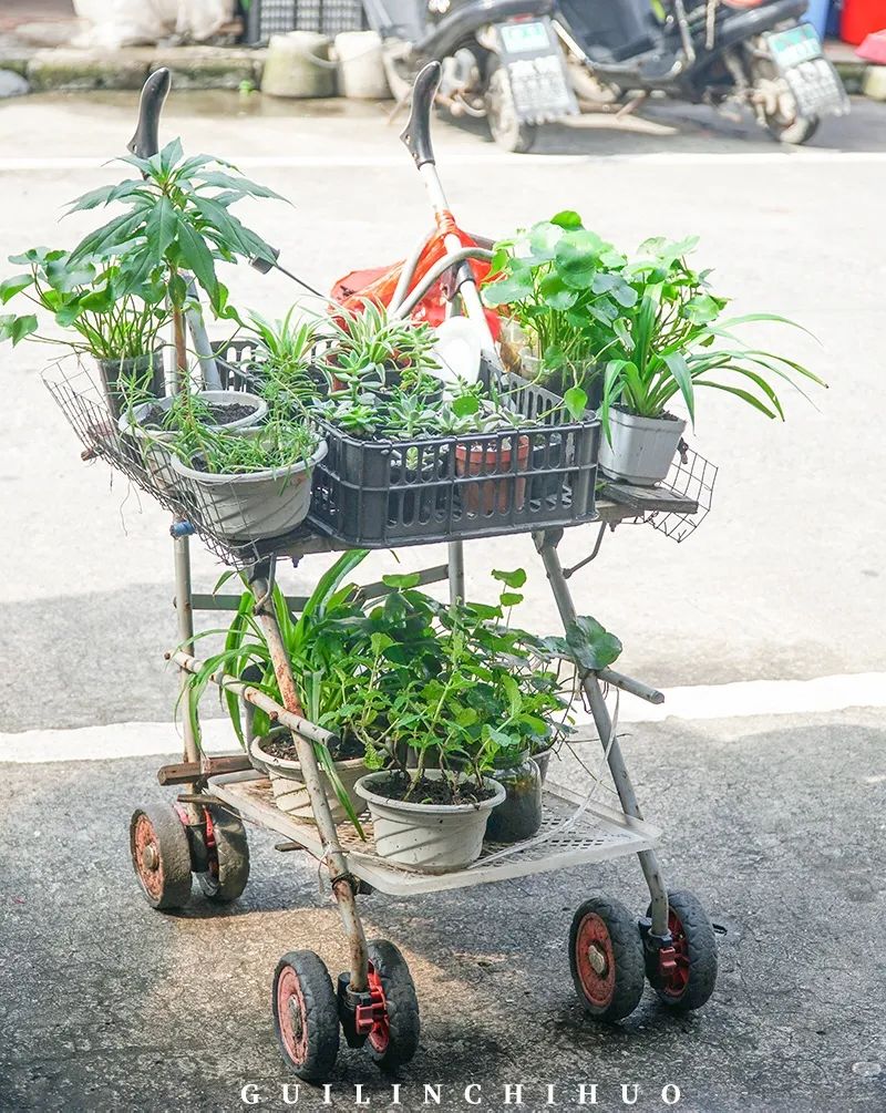 灵川县商贸城,灵川县县城商贸城