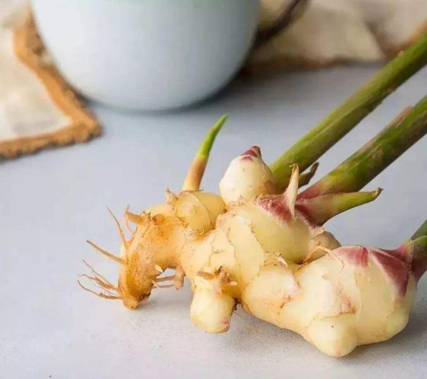 生姜种在阳台风水,庭院种生姜风水