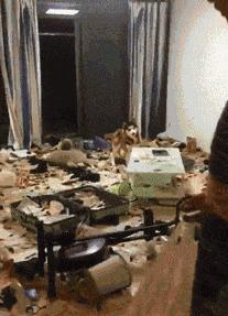 女主管换了新的电脑,女上司换了新电脑