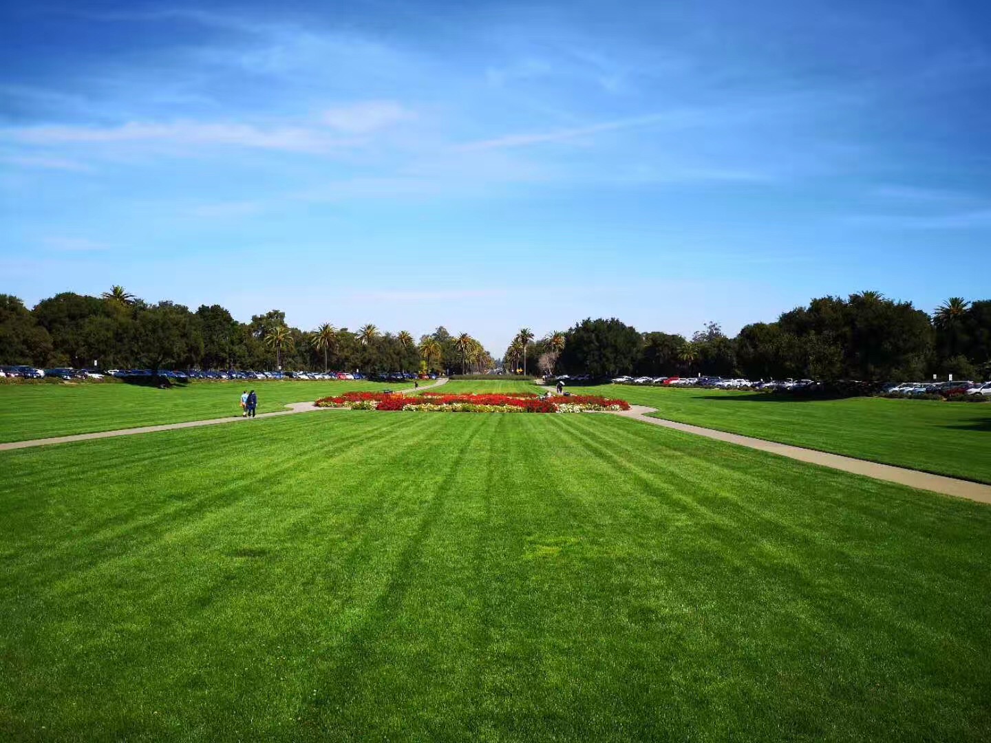 美国留学i20能换学校吗,美国留学i20被终止可以回国吗