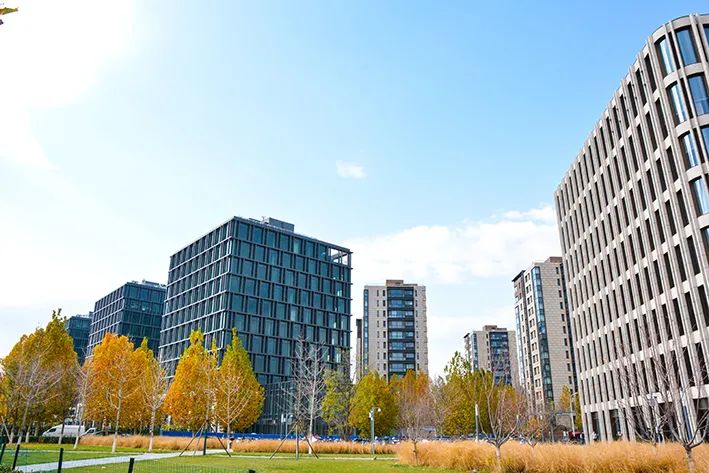 春意盎然北京五大公园,北京区级综合性公园