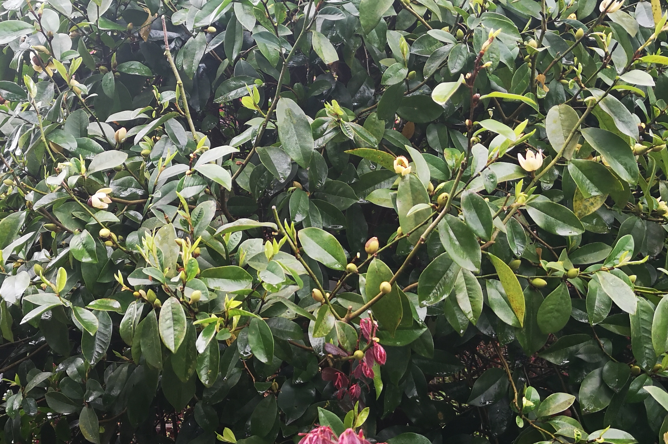 寻找身边的美丽身影,寻找身边美丽景色