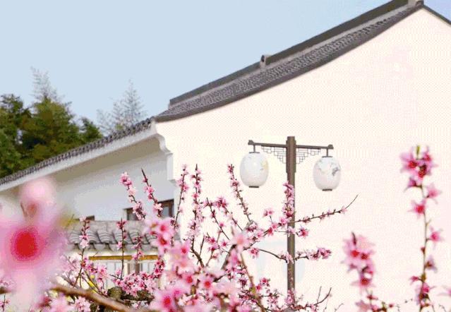 上海国庆免费景点推荐,上海值得去的免费景点旅游攻略